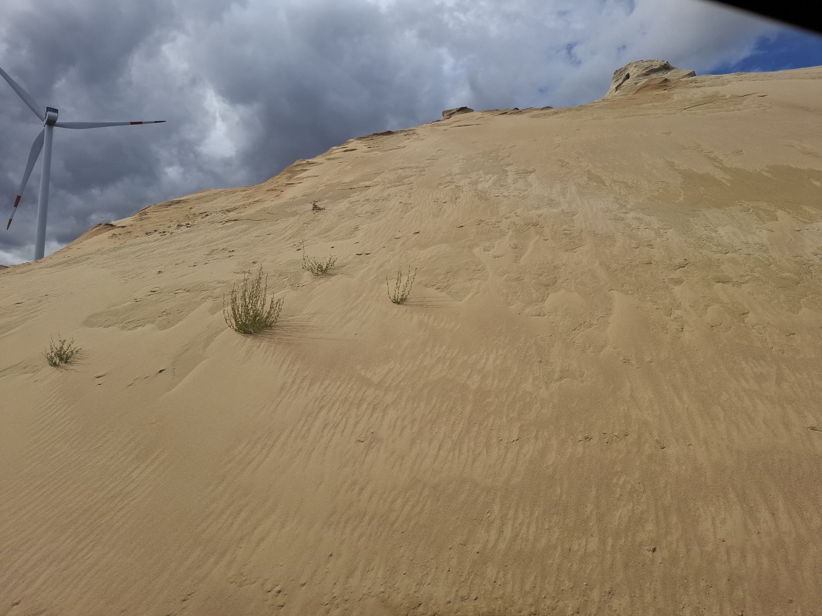 Wie in der Sahara...